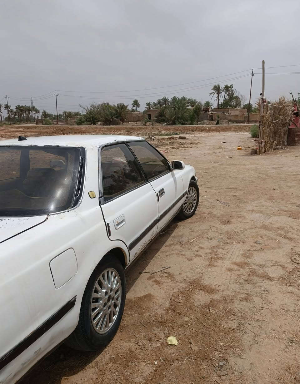 للبيع او مراوس... 

مارك مسطره موديل 1990
مكفوله من الكصه ونقل الجثه والاصوليات
وكاله عامه باسمي اشوكت ما تريد اداورلك مشروع وطني
مطلوبه غرامات 400الف فقط 
السعر 24 قفل  والغرامه وراك 
العنوان،،،الديوانيه قضاء الشاميه  

للاستفسار.... ‏‪***********‬‏ 

 ***********
