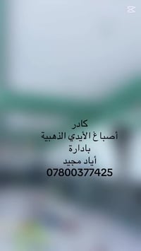 كادر أصباغ الأيدي الذهبية  مستعدون العمل كافة الديكورات الملكي و المغر...
