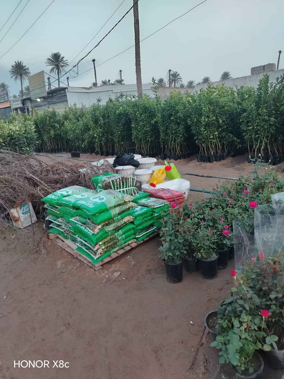 تم تجهيز مشتل قصر الصنوبر
جاهزين لتجهيز كافه الحدايق والبساتين 

كافه انواع الحمضيات+ ورد.


**إذا كنت صاحب هذا الإعلان وتريد حذفه لأي سبب، رجاءا أرسل رسالة إلى الدعم الفني**