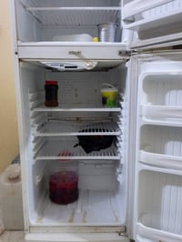 ثلاجة تجميد • تانكي نظيف • قطع كاروك