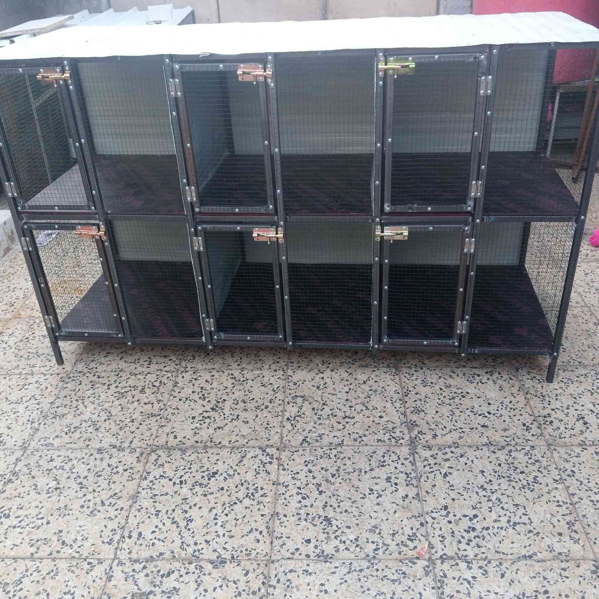 اشتغل كل القياسات وبسعر مناسب


**إذا كنت صاحب هذا الإعلان وتريد حذفه لأي سبب، رجاءا أرسل رسالة إلى الدعم الفني**