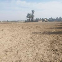 الزبيلية • ٦دونم • طابو زراعي