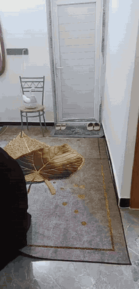 اللهم صلي على محمد وال محمد.
بسم الله الرحمن الرحيم 
بيت ب الفلاحيه حي الامام الرضا خلف دائره الكهرباء 
١٠٠ متر مربع . ركن موقع مميز 
الطابق الاول : استقبال، مطبخ، غرفه نوم، صحيات شرقي غربي ، صحيات خارجيه 
الطابق الثاني : غرفتين نوم، صحيات متكامله ، سطح حولي 
الطابق الثالث : غرفه نوم
البيت موقعه حلو ركن على شارعين
المنطقة خدمات كامله من( تبليط، مجاري، ارصفه، نت ضوئي) 
قريب على المدارس والمستوصف 
الاستفسار أكثر(***********)
