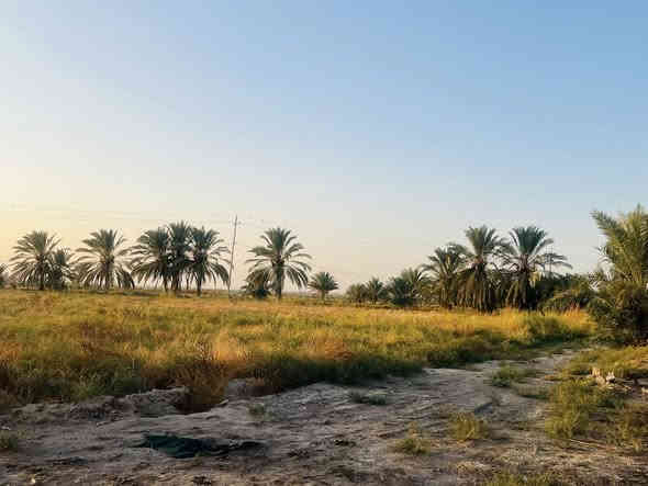 سلام عليكم ارض طابو للبيع المساحه 30 دونم سند مستقل بأسم شخص واحد الارض مكانه حلوه تصلح مجمع سكني او شاليات العنوان طريق كربله نجف طريق مفرك الكفل عمود 350 
استفسار.   ‭0783 885 1910‬
