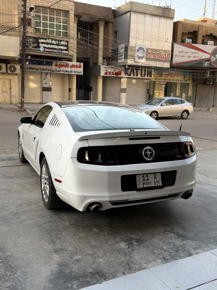 وينة الي يدور بلادي
الي يدور بلادي ونظيف 🤍

بالبداية اذكر الله وصلي على نبيك محمد 

واذا معجبك السعر الله يرزقك ويرزقني 

وان شاء الله تركب اغاتها 💜

موستنك موديل 2014 وارد امريكي 

محرك 6 سلندر  حجم 3,700 

كير اوتوماتيك

السيارة جداً نظيفة فوك ما تتصور

ومتعوب عليها من جميع النواحي

واني المالك الثالث الها 

يعني السيارة چانت يم شخصين قبلي 

وكل الادامة الي بيها غراض أصلية فقط 

وما شاد شي تجاري ابداً واستخدامي الها حيل قليل 

حادث السيارة قبغ الجنطة ومصبوغ 

السيارة بعدها على الوضع البلادي بدون أي اضافات خارجية

ماشية لحد الان 60,000  

داخل السيارة لون چكليتي 

كيچات 7 الوان بريميوم 

من ناحية الصيانة الدورية كاملة من جميع النواحي

مبدل الها دهن وفلتر قبل كم يوم 

مع تبديل پلكات نوع موتور كرافت أصلي

وتبديل دسكات نوعية دبل لنك الاصلي 

السيارة كلشي ممحتاجة فقط جناي مرتب .. 

بالنسبة للرقم الهزة مالتها جديدة وسنوية ايضاً مجددة 

يعني احولك شوكت ميعجبك

تاخذ السيارة مني وتتوكل بدون أي نقص بعون الله 

السعر 13,300 يعني 133 ورقة وبيها مجال ان شاء الله 

مكان السيارة / بغداد - زيونة 

رقمي للأتصال : *********** 

🔴 غير متوفر على الواتساب فقط اتصال
