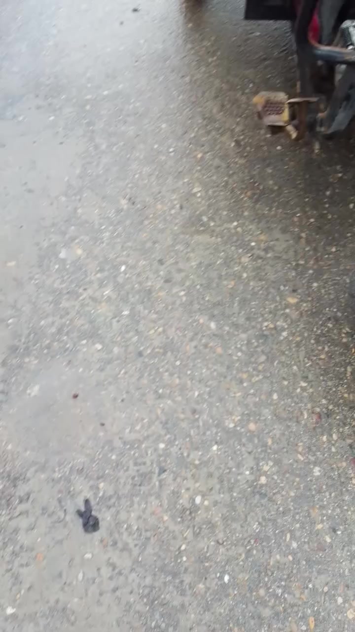 ستوته موديل 2019 كفاله عامه السعر مليون و200 بيها مجال
***********
