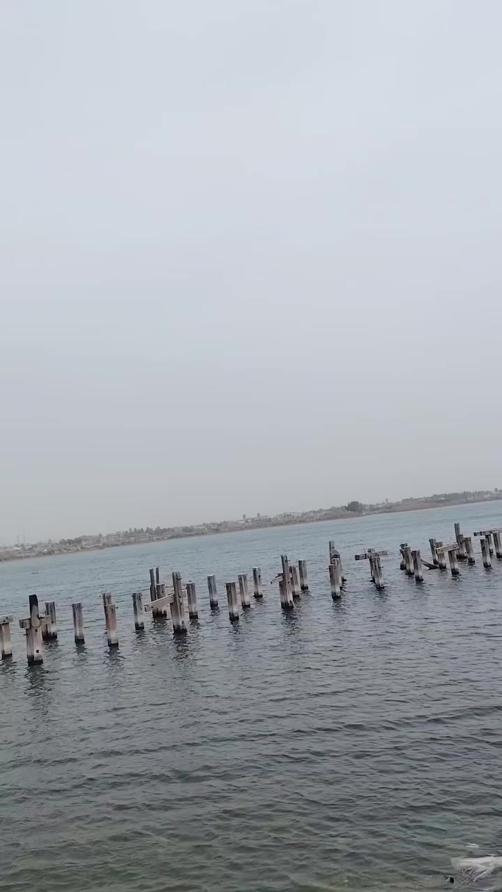 تفاصيل داخل المنشور


**إذا كنت صاحب هذا الإعلان وتريد حذفه لأي سبب، رجاءا أرسل رسالة إلى الدعم الفني**