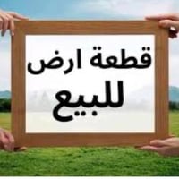 نزال البعبود • ٥٠٠م • ملك صرف