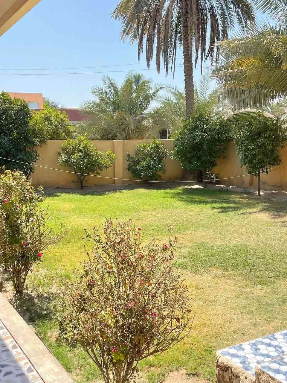 دار للبيع طابو زراعي سند 25

المساحة 800م باسم البائع

خدمات كامله وبناء مرتب وحديقه مساحته جيده
بناء طابوگ وصب كونكريت

بيه غرفتين نوم/استقبال/كلدور/مطبخ/مجمعات صحيه عدد3

الموقع //ورديه البو عليان منطقه الإمام سيد موسى ع

للاستفسار اكثر الاتصال على الرقم

‭0772 623 5524‬
