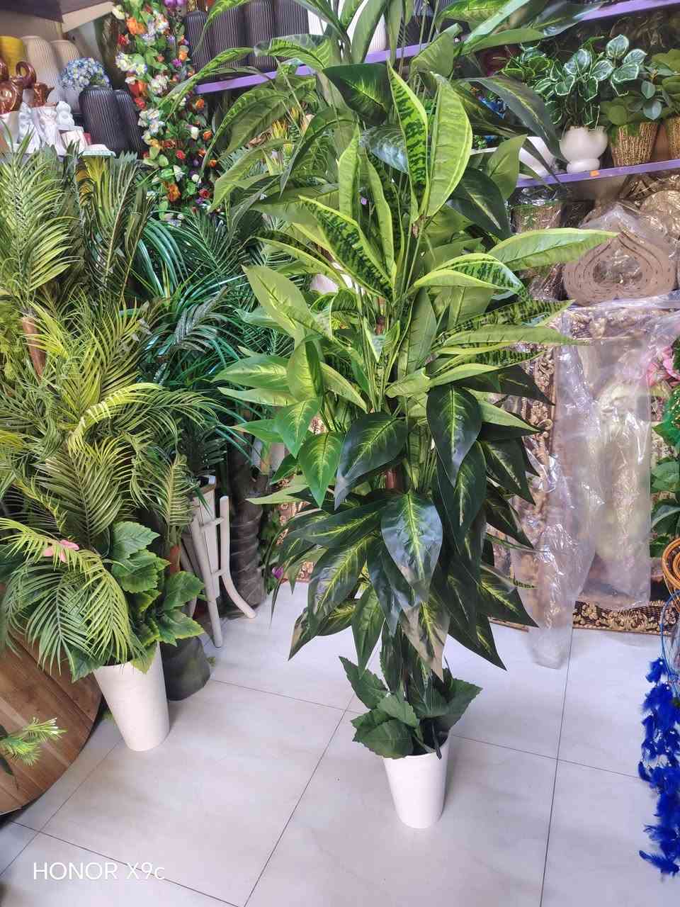 العنوان فرع دكتور ثائر ابو جلديه قرب زيد ويهم


**إذا كنت صاحب هذا الإعلان وتريد حذفه لأي سبب، رجاءا أرسل رسالة إلى الدعم الفني**