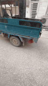 ستوته • 2017 • شبانات