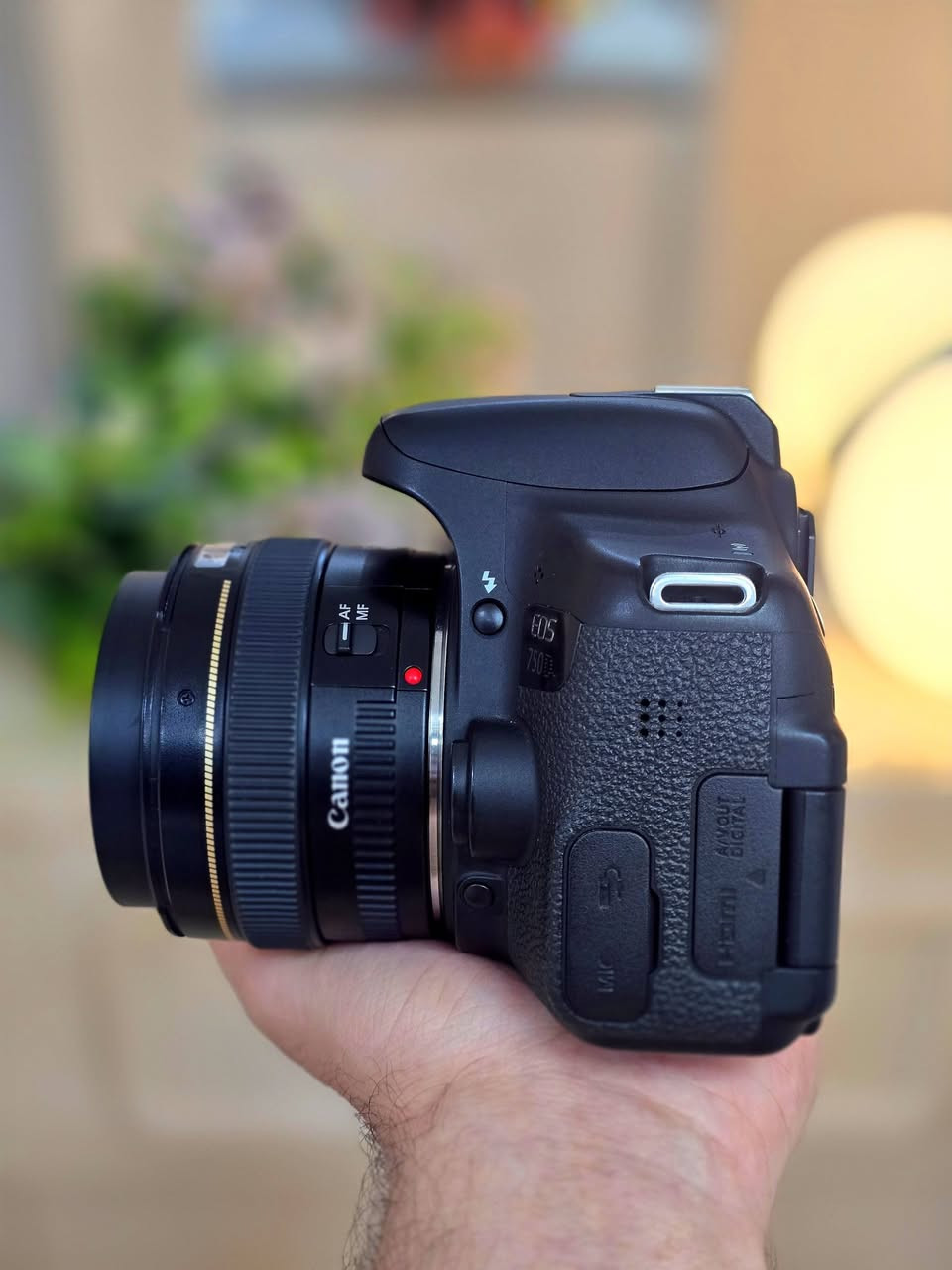 كانون 750D مع عدسه 50m 1.4
العدسه فتحة 1.4 اخوان اقوى عدسة للبورتريه عزلها عالمي ، نظافة كدامك 98% كاميرا راقية ودقتها قوية ، 

، ملحقاتها موجودة بالصور 

مكاني نجف توصيل موجود سعرها 525 وبي مجال قليل


**إذا كنت صاحب هذا الإعلان وتريد حذفه لأي سبب، رجاءا أرسل رسالة إلى الدعم الفني**