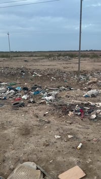 الحبيليه • مقاطعة 19/1 • وجهين 15/10