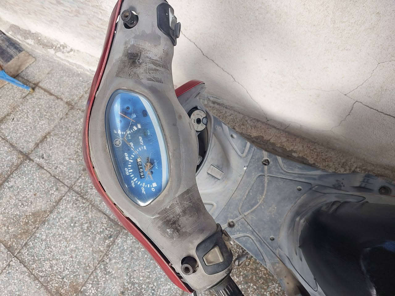 ماكس منغولي جاهزه من كلشي السعر 400 مكاني بغداد الدوره الصحه
***********
