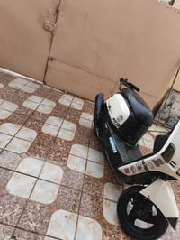 ماكس بوليس نوزل • بوشه٤٩ • حالة جيدة