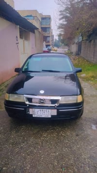 فكترا • مصبوغة • سنوية ٢٠٢٨