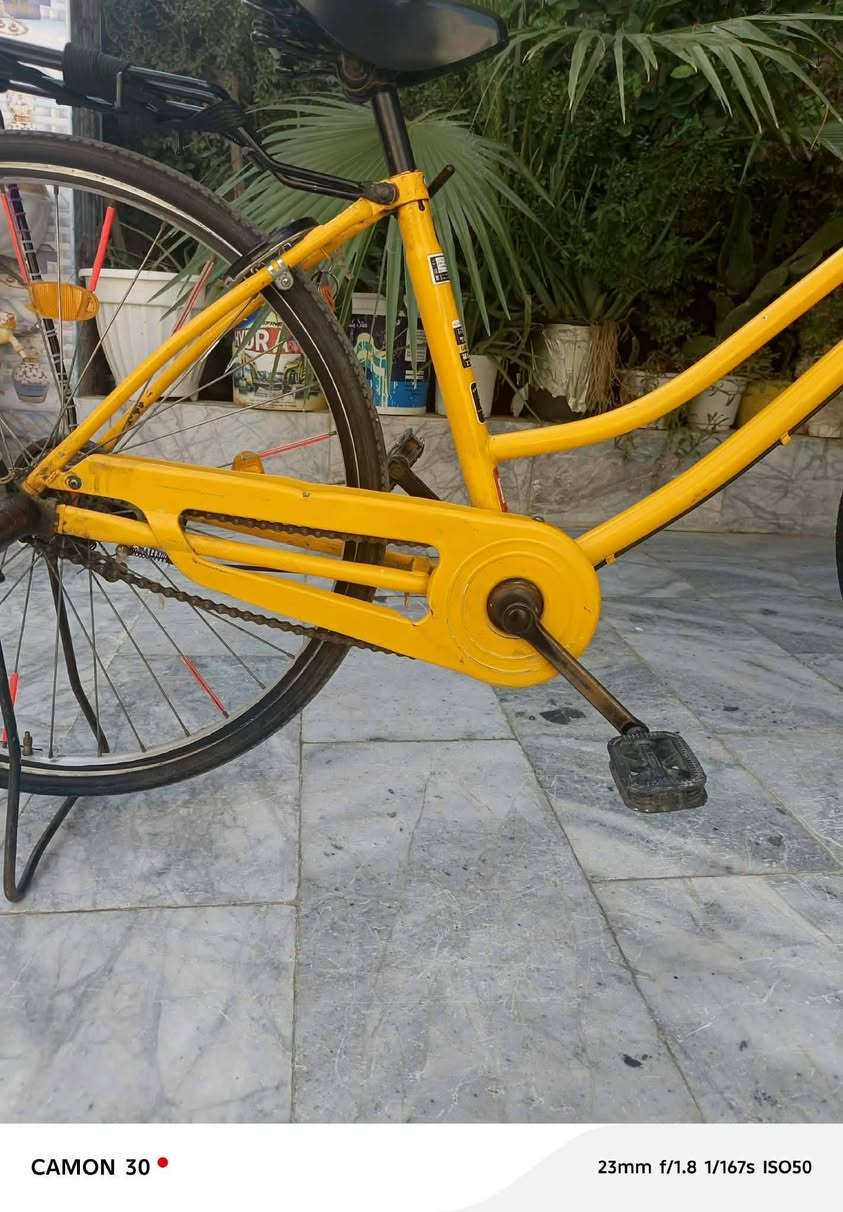 سـلام عليـكم🙋.
بـايسكل لـلبيع🌸.
نـوع البايسـكلل:بنـاتي🥷.
الحـجم:26❤️.
السـعر110وبي مجال🌹.
النـظافه:90/.
الـون:بـرتقـالي🧡.
الموديـل:2017🪬.
تـواصل:مـاسنجر او واتساب الرقم***********.
غـراضه:كـلهن مـوجوده.🍃
ومكـفول من السـرقه💆.
فـقط بـيع بـدون مـراوس😌.
ومـع السـلامه👋🏻.
