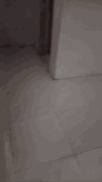 السلام عليكم دار للايجار شارع الجنابي 
مساحه ٦٠ م يحتوي على صاله مطبخ غرفتين نوم خدمات للستفسار مكتب الركن الذهبي 
***********
