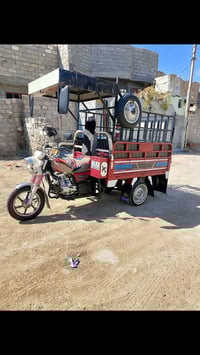 ستوتا • ٢٠٢٣ • مرقمه