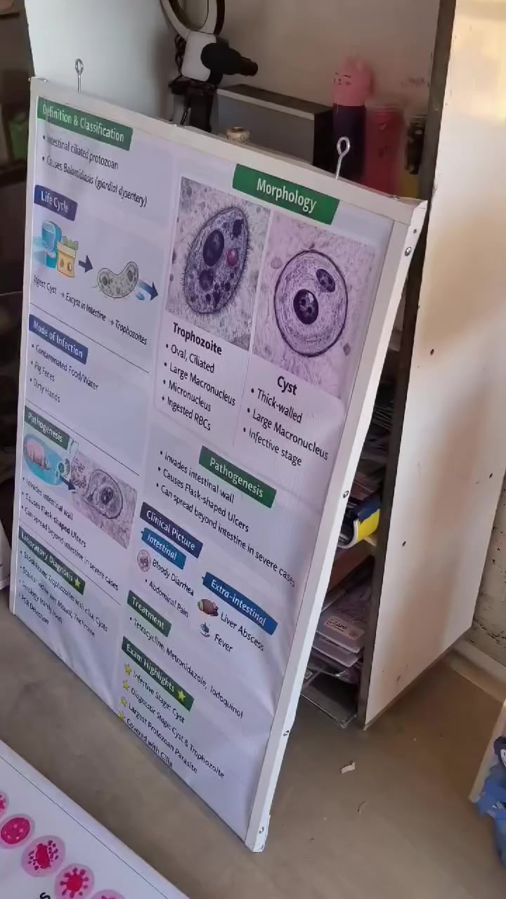 📢 هل تحتاج بوستر تعليمي أو إعلاني باحترافية عالية؟
نحن في المكتب نوفر لكم خدمة تصميم وطباعة البوسترات بجودة عالية وبمقاسات مختلفة حسب الطلب ✨
✔️ بوسترات تعليمية للجامعات والمدارس
✔️ بوسترات للمشاريع والبحوث العلمية
✔️ بوسترات إعلانية للمحلات والشركات
✔️ تصاميم احترافية حسب طلب الزبون
🔹 إمكانية التنفيذ على عدة أنواع من الإطارات:
📏 المقاسات متوفرة حسب الطلب
🎨 تصميم + طباعة + تجهيز كامل
💡 مناسب لـ:
الجامعات – المدارس – العيادات – المعارض – المحلات التجارية
📩 للحجز أو الاستفسار راسلنا على الخاص أو واتساب
⭐ الجودة أولاً… والتنفيذ كما تتخيل تماماً

➖➖➖➖➖➖➖➖➖➖
🛑للاستفسار

🛑 #مكتب_الباشق.     
📱***********  (واتساب + اتصال+ تلكرام)
📱***********.  (واتساب + اتصال+ تلكرام)
🌐https://t.me/maktab_albashiq رابط التلكرام
↩️بابل_ المسيب_ حي الأطباء_ طريق الحامية _مجاور مدرسة طوفان الأقصى_ مقابل ملعب حي الأطباء
