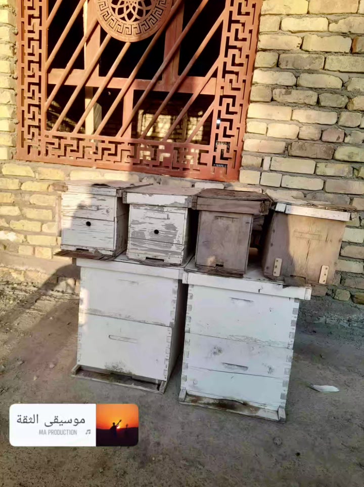 السلام عليكم
مرخصت مدير الگروب متاح 4 طرود وخليتين وطابقين
السع. ر خاص متواجد وتساب انتصال ***********

مستخدم
