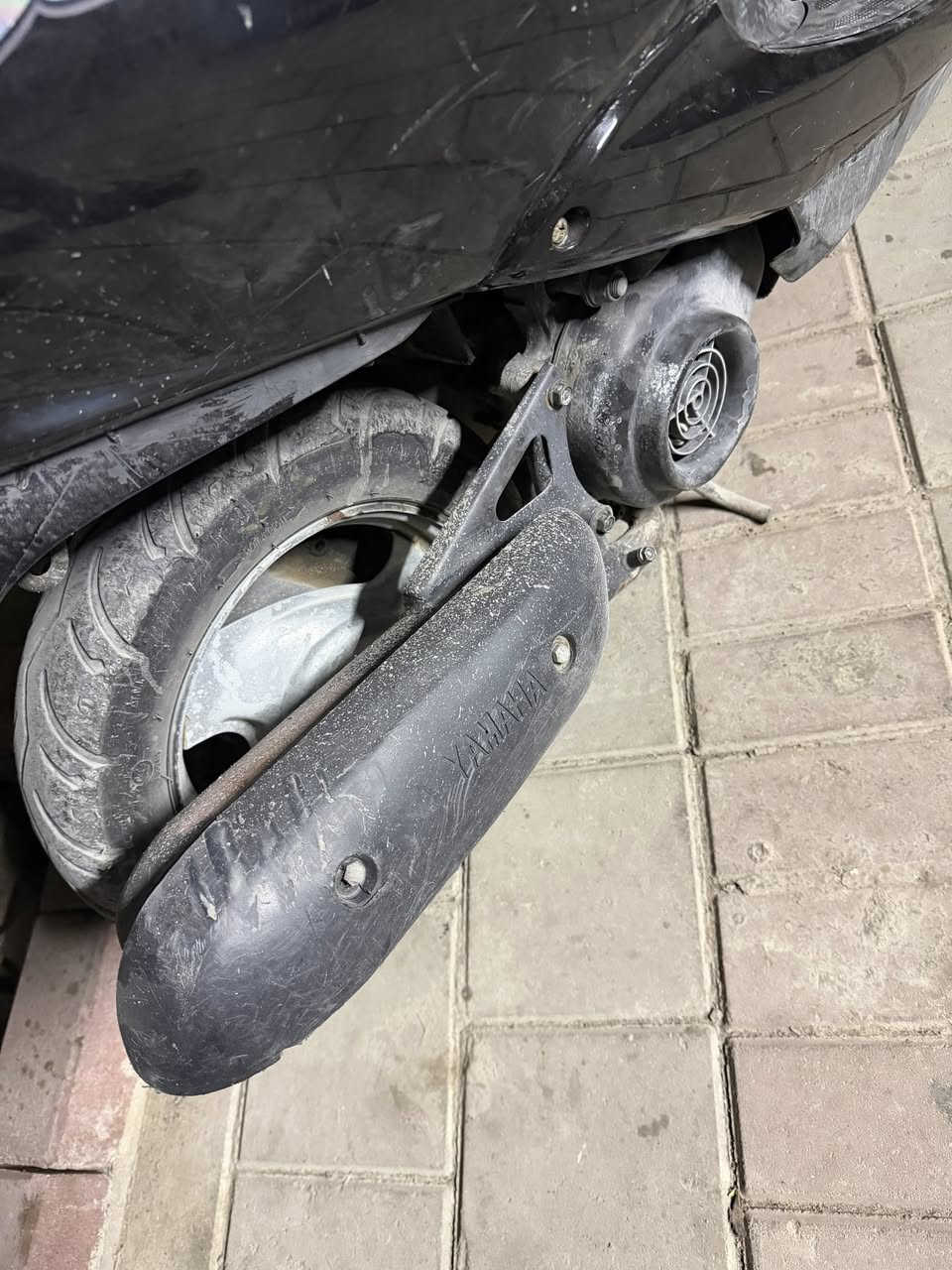 سلام عليكم عصفوريه دراجه مكفوله كفاله عامه برغي مامفتوح بيه تجي جيب فيتر وتفحص على راحتك مكاني بغداد مدينه الصدر ***********
