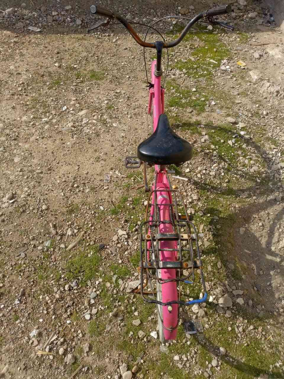 للبيع بايسكل عبدالحليم حجم26 
السعر 50 
للاستفسار خاص


**إذا كنت صاحب هذا الإعلان وتريد حذفه لأي سبب، رجاءا أرسل رسالة إلى الدعم الفني**