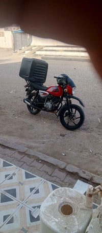 بوكسر فحل موديل 23 اوراق كامله بيها خيط دخان خفيف للبيع ب 1500وبيها مج...