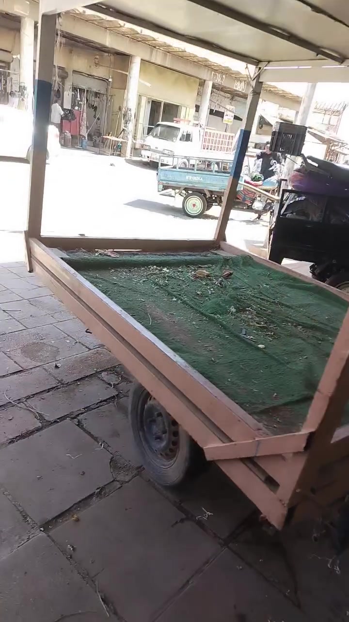 سلام عليكم ستوته كلك للبيع كفاله عن السرقه مكان نجف مشخاب ***********
