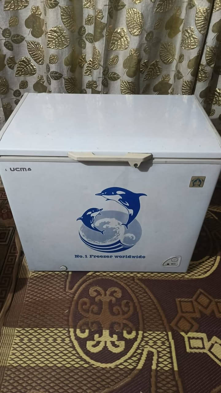 غراض بيت كلا شغال عل فحص سعار مناسبة شراي سحب صورة وتفضل خاص مكان بغداد جسر ديالي يوجد توصيل بكروة شراي تفضل خاص


**إذا كنت صاحب هذا الإعلان وتريد حذفه لأي سبب، رجاءا أرسل رسالة إلى الدعم الفني**