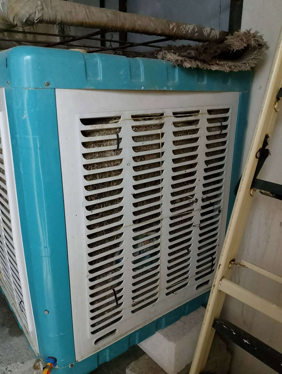 مبرده حيل نضيفه سعرها 100


**إذا كنت صاحب هذا الإعلان وتريد حذفه لأي سبب، رجاءا أرسل رسالة إلى الدعم الفني**