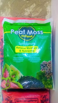 مشتل المدينة • توصيل مجاني النعمانيه • مثلث الكلابين