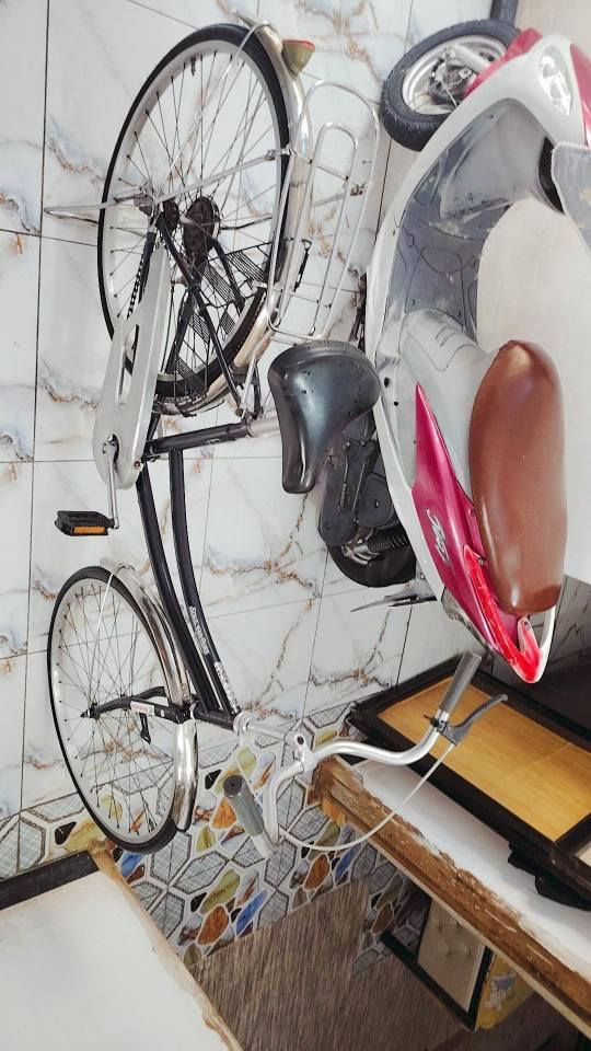 بيسكل موزه 75وبي مجال بصيط حك جيه السماوا, المثنى


**إذا كنت صاحب هذا الإعلان وتريد حذفه لأي سبب، رجاءا أرسل رسالة إلى الدعم الفني**