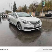 فول فول • ٢٠١٤ • كشن تدليك