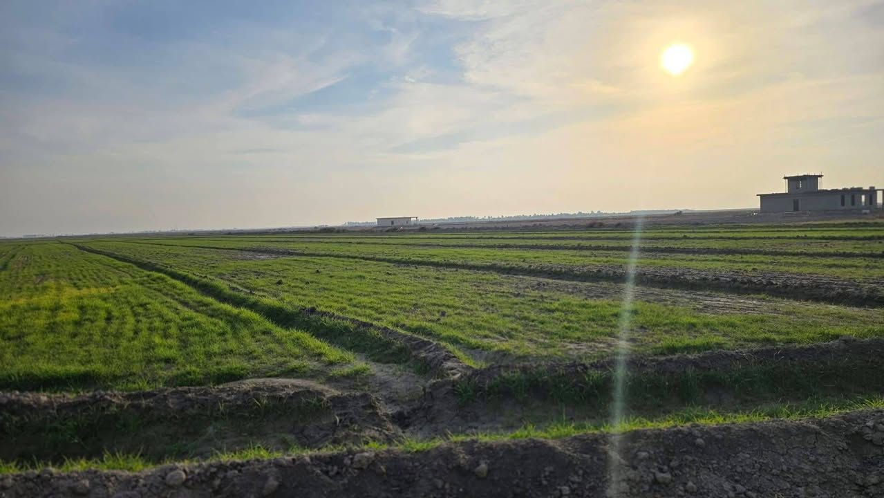 قطعه ارض بسعر مناسب✨
السلام عليكم ارض للبيع 3 دونم✨عبور جسر سبع البور الشيخ عامر في منطقة العيساوية
 تبعد عن سوق الشيخ عامر 20 دقيقه طابو زراعي سند25 على طابو الفلوجه
 فتح بيان بأسمك متوفر كافة الخدمات من كهرباء وماء وقريبة على السكن
 سعر الدونم 8 ونص وبيهه مجال وتباع تقطيع حسب الطلب

 للاتصال،***********واتساب
‏
