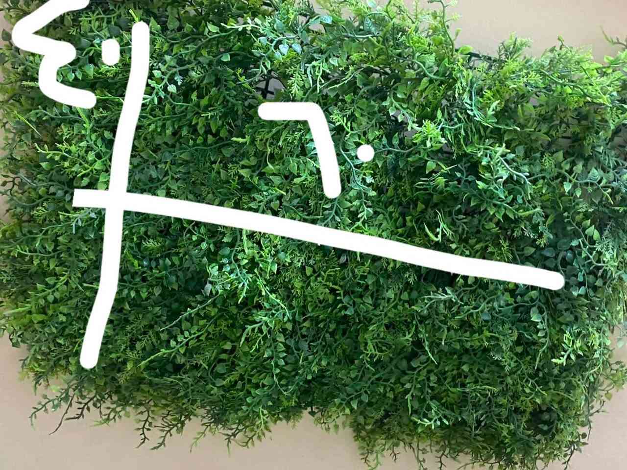 السلام عليكم زرع صناعي نظيف جدا مصارلة كم شهر من سويتة ١٨ قطعة القطعة ب٦ الف 
وارضية مقطعة على مترقطعتين  ومتر ونص قطعتين اربعتهن ب٢٠ الف  مكاني بغداد الجديدة ***********
