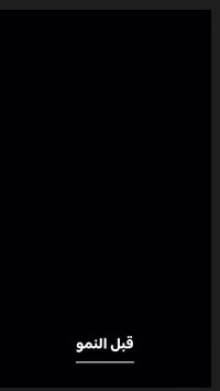 الثيل الهندي • قبل وبعد • مشتل