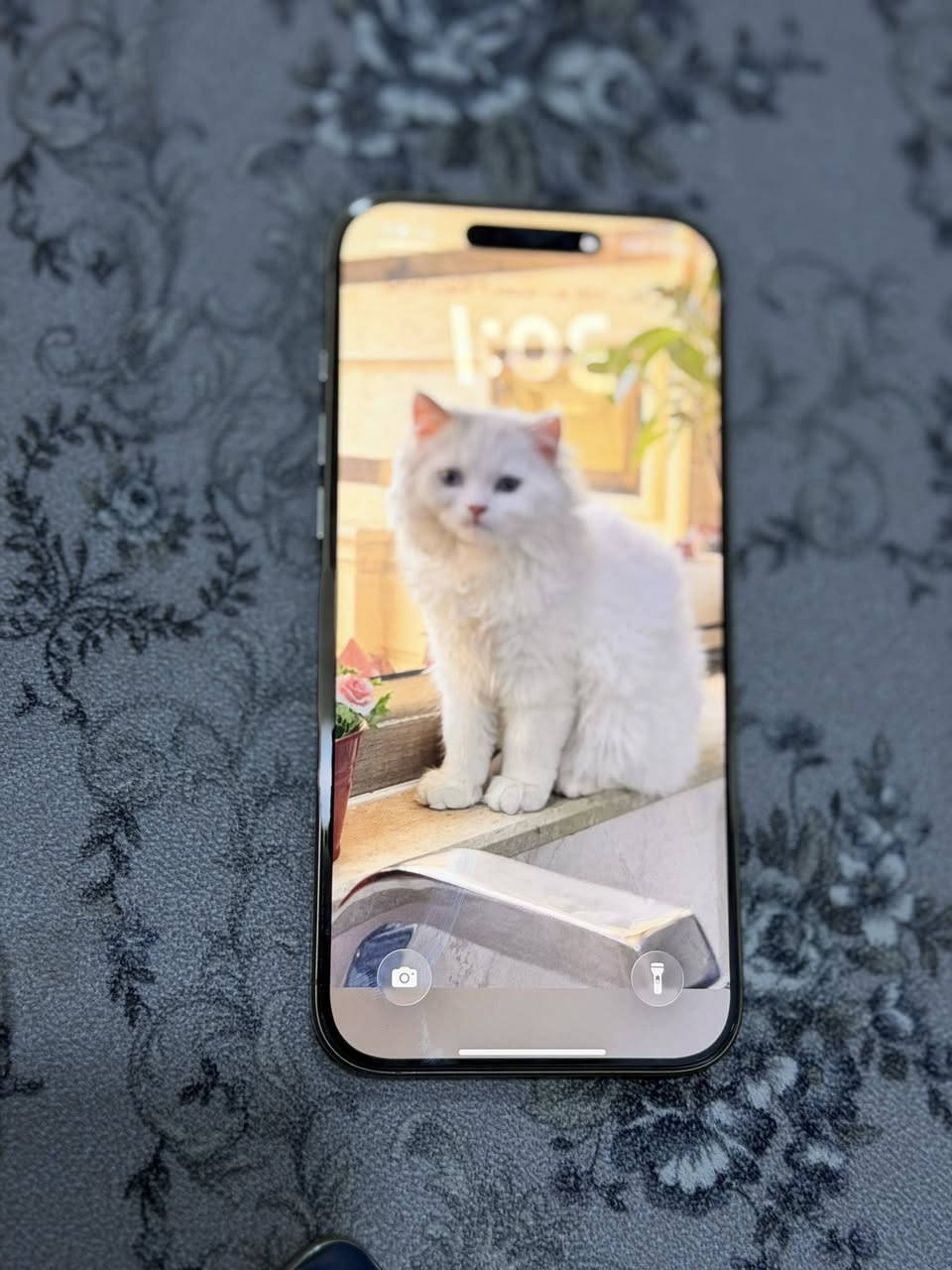 ايفون 16 pro max
بطاريه 96

شرق اوسط  

شخط مابي نضيف حيل

بعده داخل الضمان. 

سعره 1400000
***********
***********
