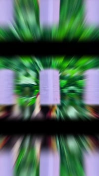 بودرة تايلاندية • للوجه والمناطق الحساسة • ٢٥٠غ