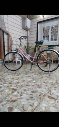 بيسكل حجي • ٢٤