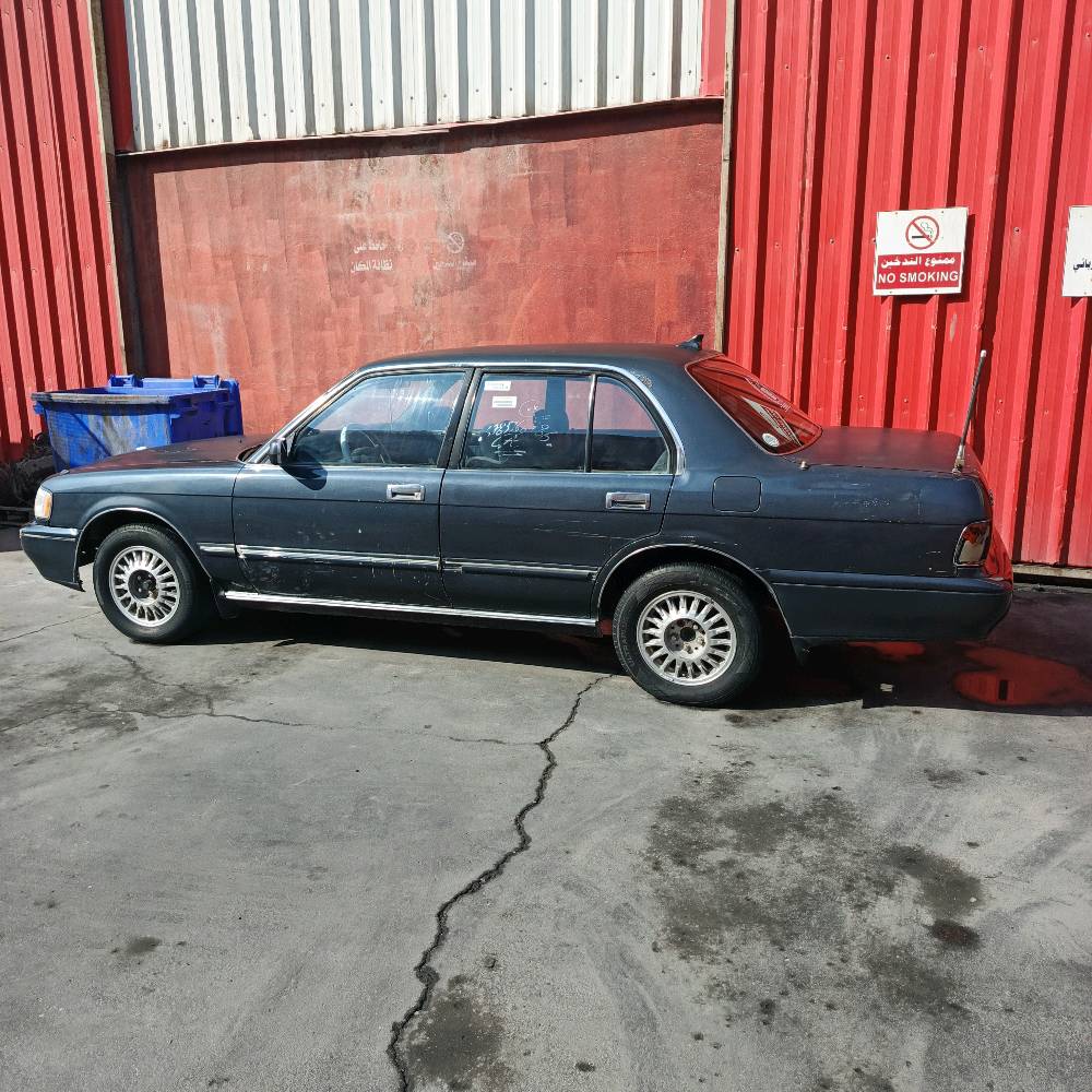 السلام عليكم ارنب طويل للبيع كفاله من الكص ونقل وضربه رقم انكليزي بسمي مشروع 