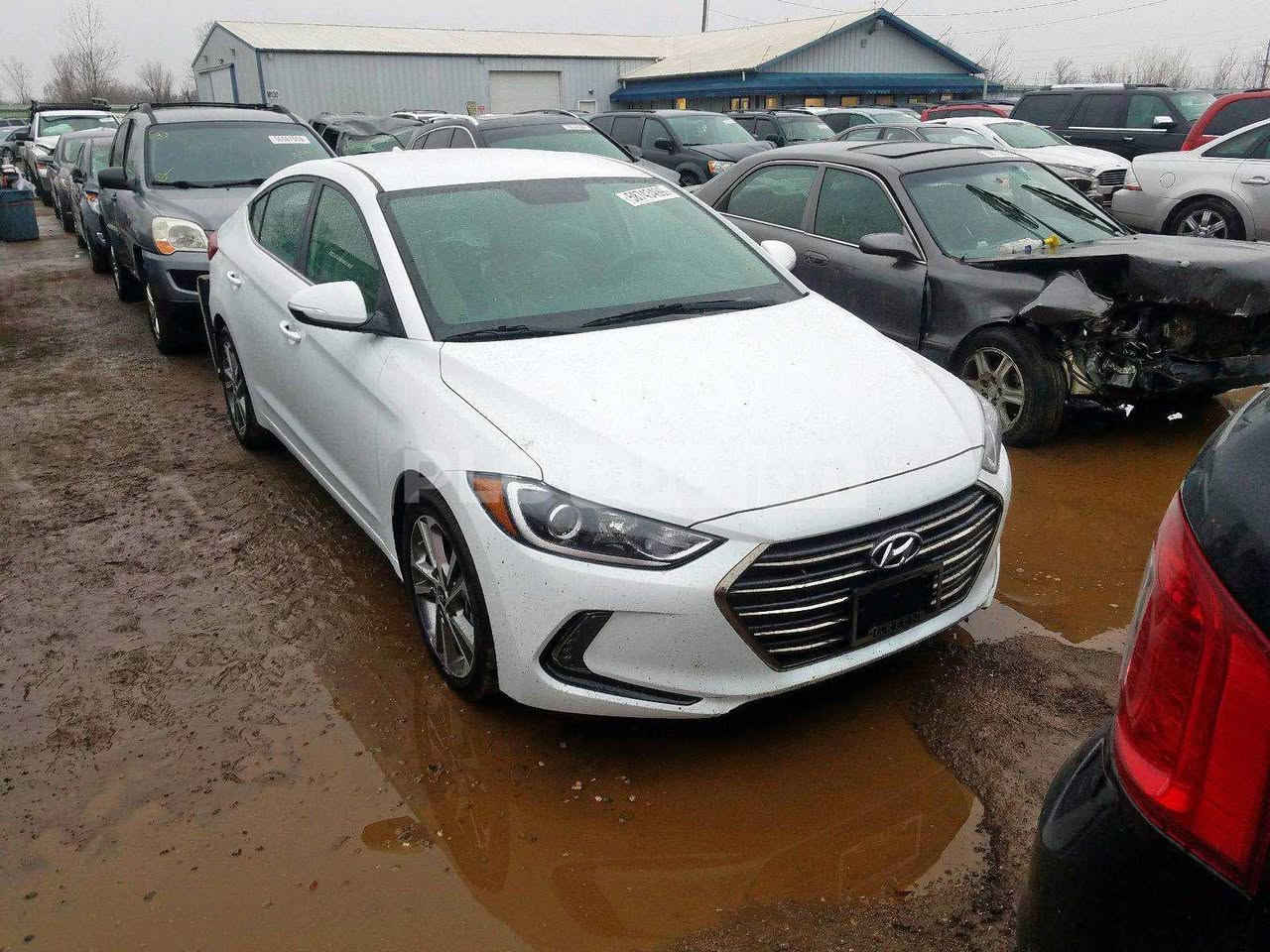 النترا ٢٠١٨
٢٠٠٠ دوش 

باسمي 

رش قطعتين باب وجاملغ 

ماشية 83 الف ميل 
رقم بغداد ناشر الحادث 

***********
