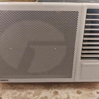 كربلاء طوريج • شرط الفحص • طنين