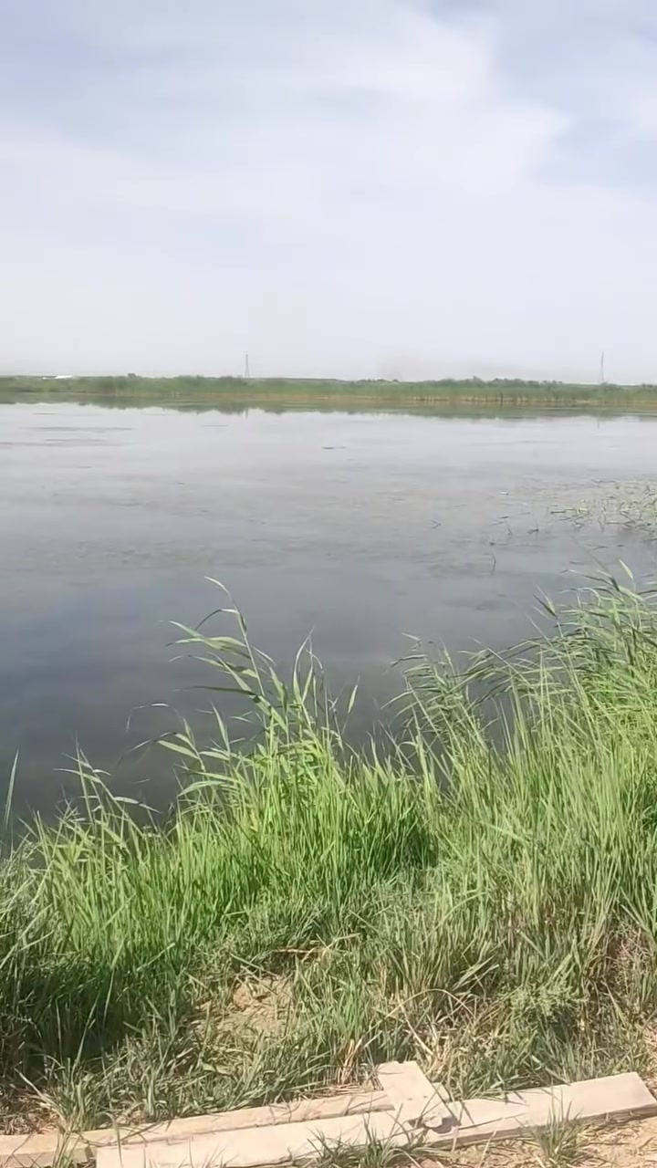للايجار 
بحيرات مجازه مسطح ماء ٧٥ دونم كهرباء متوفره ظفيره كهرباء واصله لنص الأحواض  ماي سيح او تعليك بكيف الماجر بيت سكن للبحيرات مخزن للبحيرات
واسط نهر دجلة 
***********
