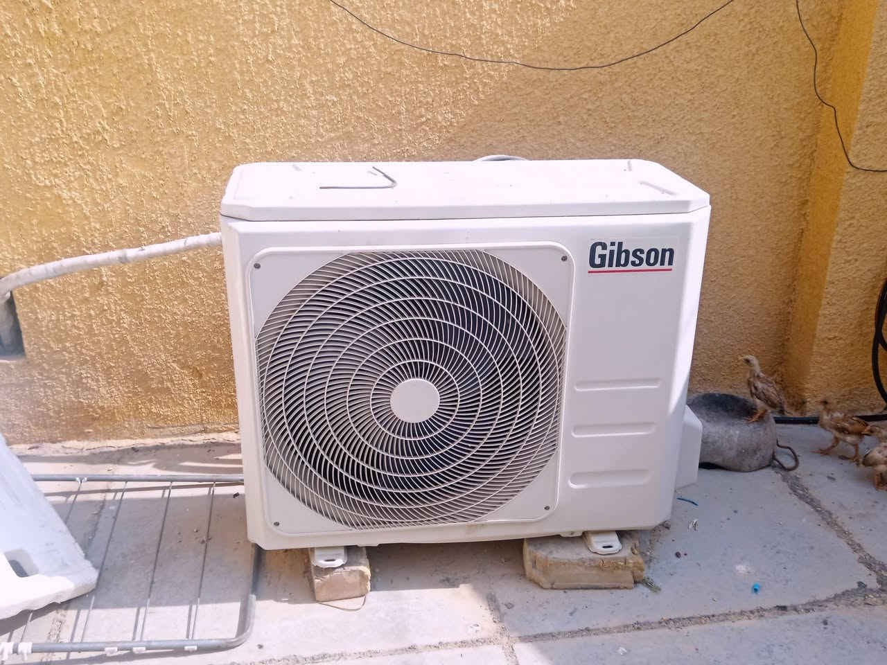 سلام عليكم سبلت للبيع 2 طن مخلص غاز شغال سعره 400 الف مكاني بغداد الحسينيه الراشديه مسقط رقم الهاتف *********** 📞
