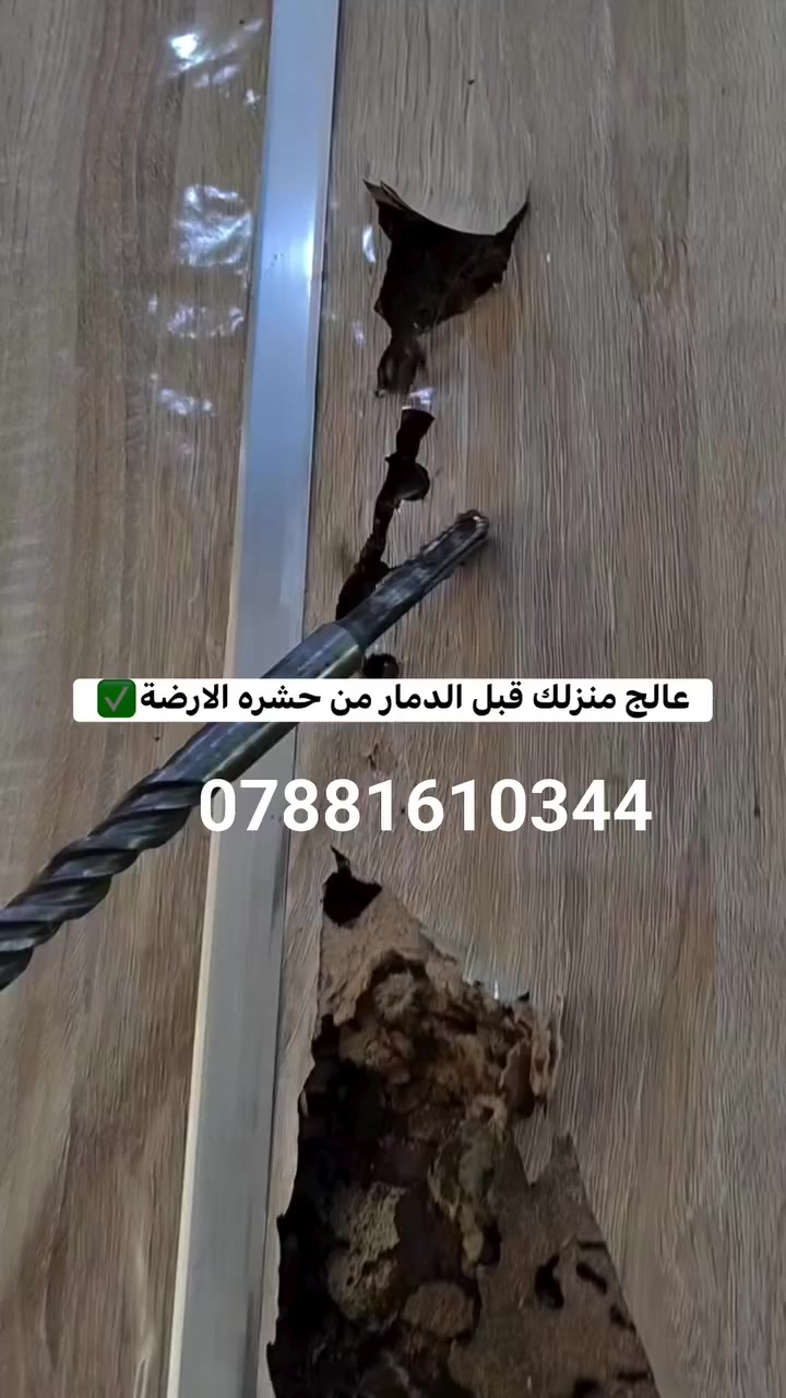 ✅ تعتبر حشرة الارضة من المشاكل المزعجة والمدمرة التي تؤثر على المنازل والمباني بسبب متطلباتها الغذائية العالية و لذلك

* يوفر لكم مكتبنا المتخصص في مكافحة الارضة من خلال فريق مدرب بشكل عالي وأستخدام أجهزة كشف متطورة ومواد ذات جودة عالية وفعالة لضمان القضاء الكامل على مستعمرات حشرة الارضة وتوفير الحماية الشاملة للمنازل 
_____________________
شركة المسار الفضل بل العراق

للحجز او الأستفسار ***********
