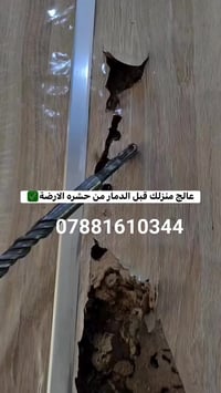 ✅ تعتبر حشرة الارضة من المشاكل المزعجة والمدمرة التي تؤثر على المنازل ...