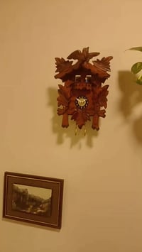 جديده • خشب • زان