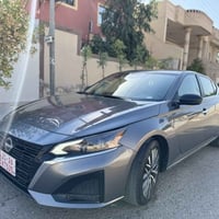 نيسان التيما • ٢٠٢٤ • وارد أمريكي