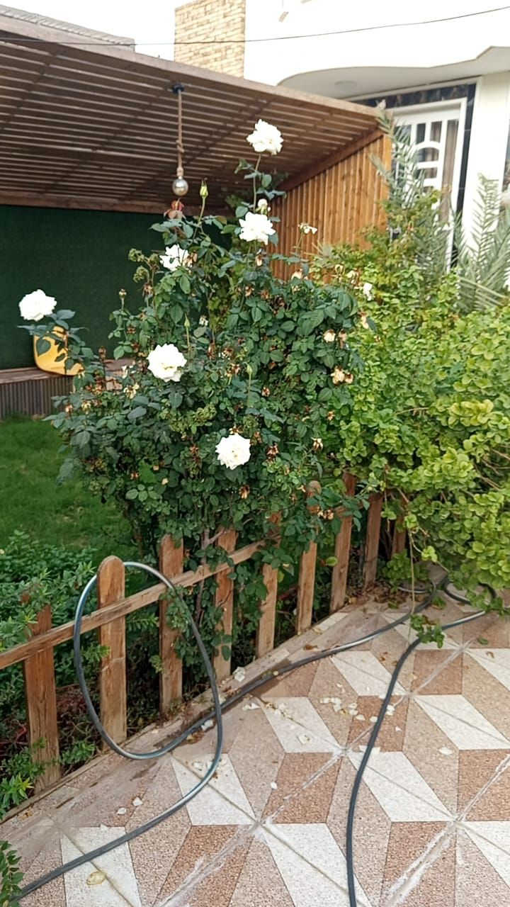 السلام عليكم متوفر دار طابو زراعي المساحه ٢٧٢ بناء نظيف عنوان كراغول شارع زين العابدين قرب كافتريه ابو عمار قريب على شارع الرئيسي مقابل حي الصناعي البيت فارغ حاليا محتويات غرفتين نوم وصاله وكلدور ومطبخ  وكراج سياره كبيره وحديقه البيت جاهز استلام مباشر السعر ١٢٥ بي مجال لشراي  للاتصال 
***********
***********
